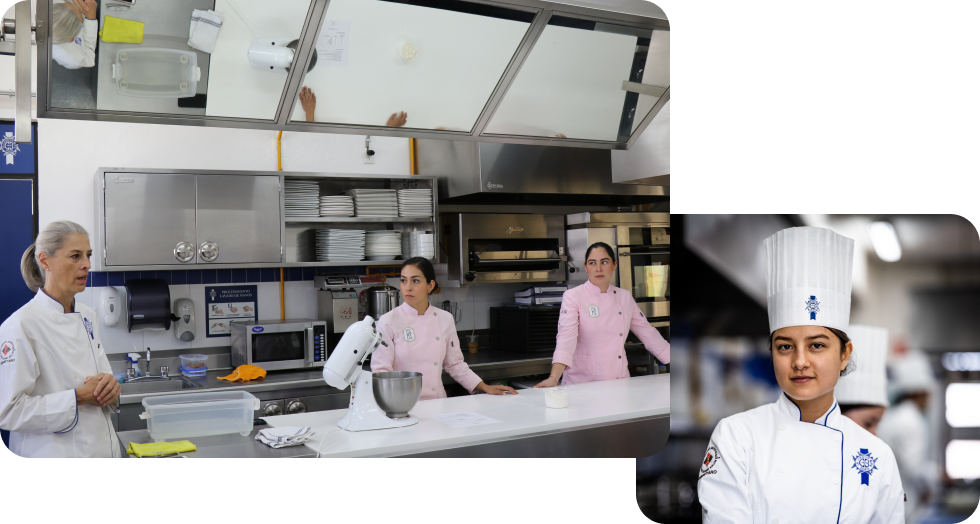 Licenciatura en Gastronomía Anáhuac Querétaro